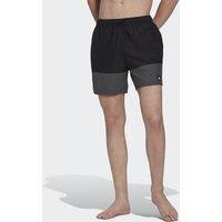 Colour Block Swim Shorts
