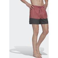 Colour Block Swim Shorts