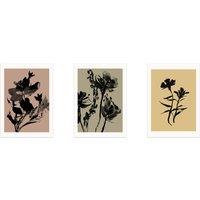 Set of 3 Mono Botanical Trio by Dan Hobday
