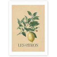 Les Citron by Flower Love Child