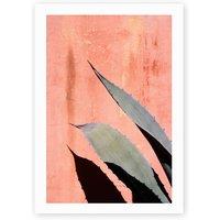 Peach Cactus by Honeymoon Hotel