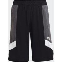 Logo Print Sports Shorts in Cotton