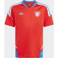 FC Bayern Training Jersey