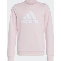 Logo Print Sweatshirt in Cotton Mix with Crew Neck
