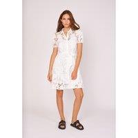 Penelope Knee-Length Dress in Lace