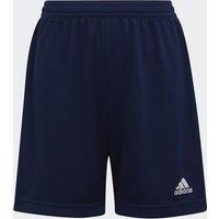 Football Shorts