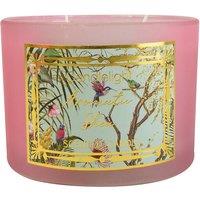 Chinoiserie Aromatic Shea Two Wick Wax Filled Candle Pot