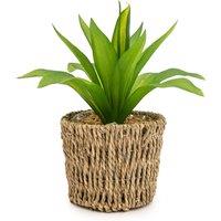 Artificial Succulent in Seagrass Basket