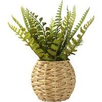 Artificial Pteridophtye in Basket