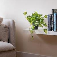 40cm Artificial Real Touch Trailing Silver Vine