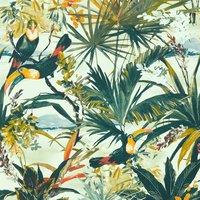 Toucan Wallpaper