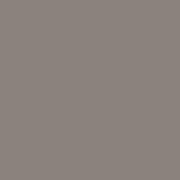Water Based Eggshell Paint Grey Squirrel