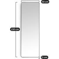 Iodus 50 x 150cm Rectangular Metal Mirror