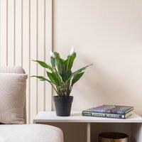 49cm Artificial Peace Lily Plant