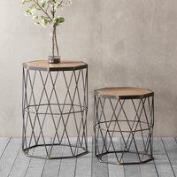 Raisen Octagonal Wood & Metal Cage Side Tables (Set of 2)