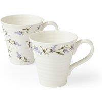 Set of 2 Lavandula Mugs