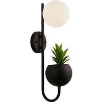 Pluto Orb and Plant Wall Light