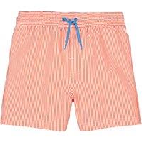 Striped Swim Shorts