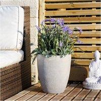 60cm Lavender & Grasses in Grey Cement Pot