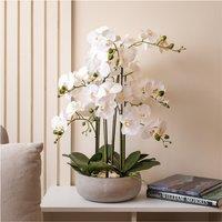68cm Real Touch 10-Stem Orchid in Grey Ceramic Pot