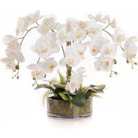 55cm Real Touch 5-Stem Orchid with Fern in Glass Pot