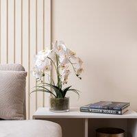 52cm Real Touch 3-Stem Orchid with Grass in Glass Pot