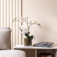 63cm Real Touch 3-Stem Orchid with Grass in Glass Pot