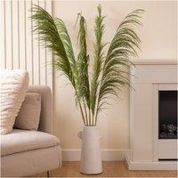 5-Pack 1.4m Pampas Grass in Soft Green