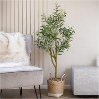 125cm Olive Tree in Basket