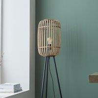 Millie Bamboo Cage Floor Lamp