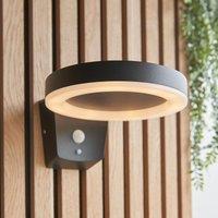 Alima Outdoor Wall Light