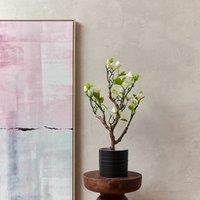 70cm Cream Tabletop Real Touch Magnolia Tree
