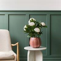 55cm Cream Peony Plant