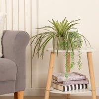 Set of 2 Plants in Beige Rustic Ribbed Ceramic Pots