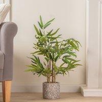 60cm Tabletop Bamboo in Cement Pot