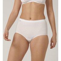 Pack of 6 Basic Maxi Knickers in Cotton