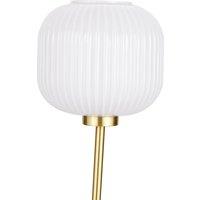 Ribbed Glass and Metal Squoval Floor Lamp