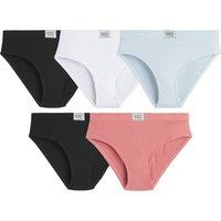 Pack of 5 Knickers in Ribbed Fabric