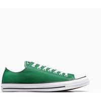 Chuck Taylor All Star Seasonal Colour Canvas Trainers