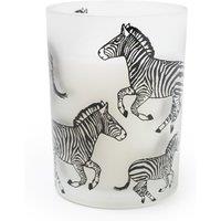 Midnight Pomegranate Zebra Candle