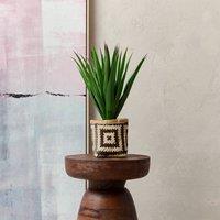 55cm Artificial Spikey Plant in Bamboo Basket