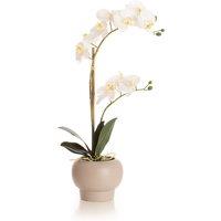53cm Artificial Orchid in Cream Cement Pot