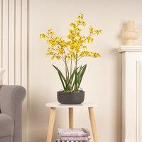 71cm Artificial Yellow Dancing Orchid in Ceramic Pot