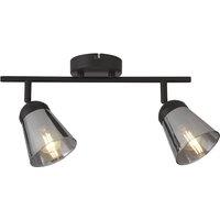 2 Light Spotlight Ceiling Light
