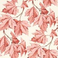 Dappled Leaf Rose Quartz Wallpaper