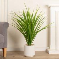 95cm Artificial Spikey Dracaena in White Pot