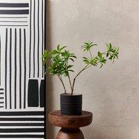 68cm Artificial Pieris Tree