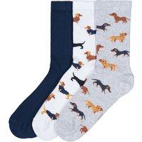 Pack of 3 Pairs of Socks in Cotton Mix, Dachshund Print