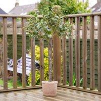 100cm Artificial UV Olive Tree in Rustic Pot