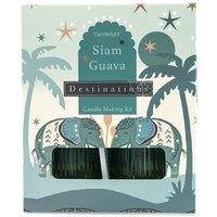 Siam Guava Candle Making Kit